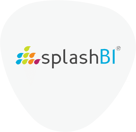 splashbi-details-page