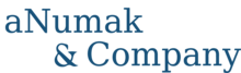 aNumak-logo